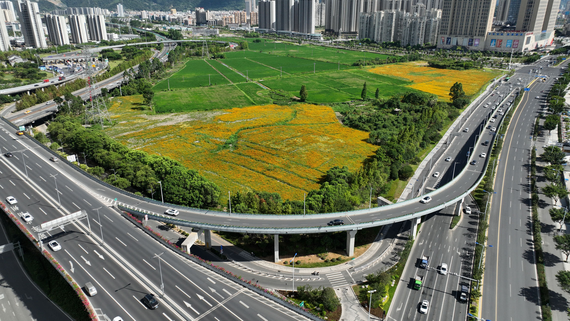 1660266122298316.jpg 溫州動(dòng)車南站(寧波路右轉(zhuǎn)匝道)鋼橋.JPG